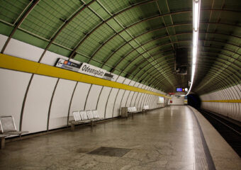 Terrestre
